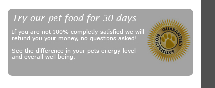 Healty Pet Food for your dog or cat